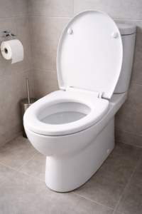 Desentupimento de vaso sanitário em minas gerais